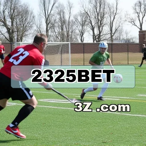 Pagamento Eficiente no 2325bet: O Que Você Precisa Saber