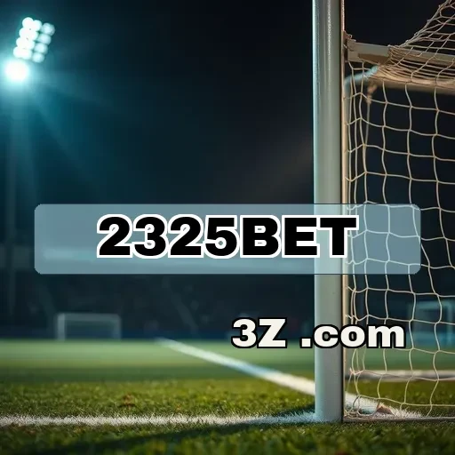 Termos do 2325bet: Conheça as Regras do Jogo